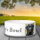 Suche nach schwarzer labrador Für haustiere