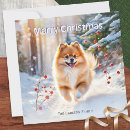 Suche nach hundebilder karten Jede person