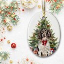 Suche nach englischer springer spaniel ornamente Haustier