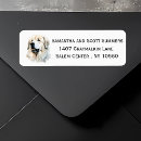 Suche nach pyrenäen Hund
