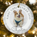 Suche nach silvester ornamente Silber