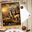 Suche nach alpaca postkarten Vintag