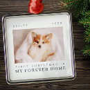 Suche nach ewig ornamente Foto