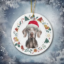 Suche nach weimaraner ornamente Weihnachtsmannmütze