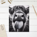 Suche nach molkerei postkarten Für alle