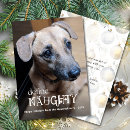 Suche nach humorvolle weihnachtskarten Hund