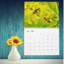 Suche nach biene kalender Blume