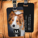 Suche nach haustiere gepäckanhänger Hundefreund