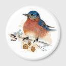 Suche nach blauer vogel magnete Jede person