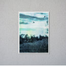 Suche nach wildnis poster Illustration