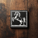 Suche nach reiten visitenkarten Pferdezucht