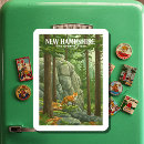 Suche nach new hampshire magnete Vintages neues hampshire