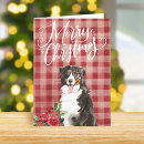 Suche nach berner sennenhund karten Aquarell