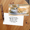 Suche nach funny visitenkarten Beruflich