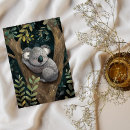Suche nach niedliche koala postkarten Jedes kind