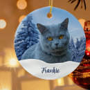 Suche nach pet ornamente Erstelle selbst