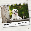 Suche nach bestes von kalender Jede person