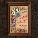 Suche nach seed poster Samen