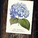 Suche nach vornehm postkarten Retro