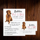Suche nach groomer flyer Haustierpflege