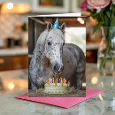 Suche nach lustiges pferd Jede person