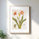 Suche nach alte blumen poster Jede person