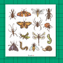 Suche nach insekt aufkleber Jede person