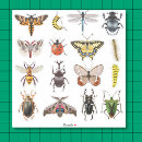 Suche nach raupe aufkleber Für alle