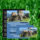 Suche nach kühe visitenkarten Käse