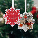 Suche nach weihnachtskarte wohnen zuhause Schneeflocke