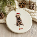 Suche nach schokoladen labrador ornamente Jede person