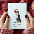 Suche nach berner sennenhund karten Weihnachtskarte