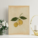 Suche nach vintage botanische illustration poster Für sie