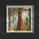 Suche nach sequoia poster Natur