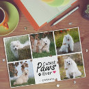 Suche nach hundefoto puzzle Für alle