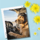 Suche nach vintage hunde karten Goldene retriever