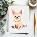 Suche nach haustier postkarten Chihuahua