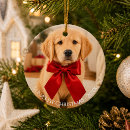 Suche nach golden retriever ornamente Für haustiere