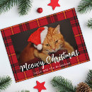 Suche nach lustige katze karten Katzen