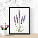 Suche nach lavendel poster Für alle