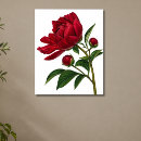 Suche nach knospen poster Elegant
