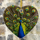 Suche nach pfau ornamente Natur