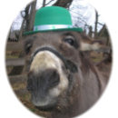 Suche nach grüner kobold tshirts Für alle