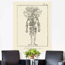Suche nach anatomische poster Menschliche