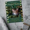 Suche nach lustige kater postkarten Jede person