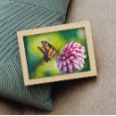 Suche nach gelber schmetterling poster Natur