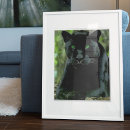 Suche nach schwarzer jaguar poster Katze