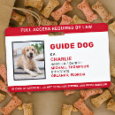 Suche nach doge badges Foto hinzufügen