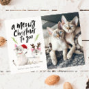 Suche nach cat christmas karten Heftige weihnachten
