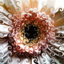 Suche nach gerbera schlüsselanhänger Rosa